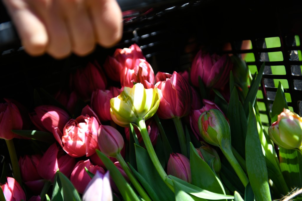 Show your business in its best&nbsp;light